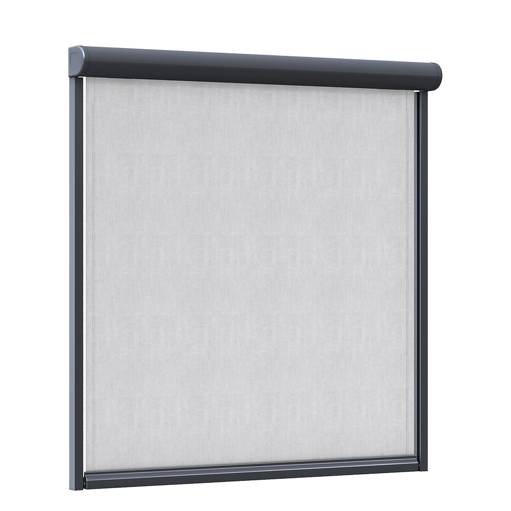 F100 De slanke screen